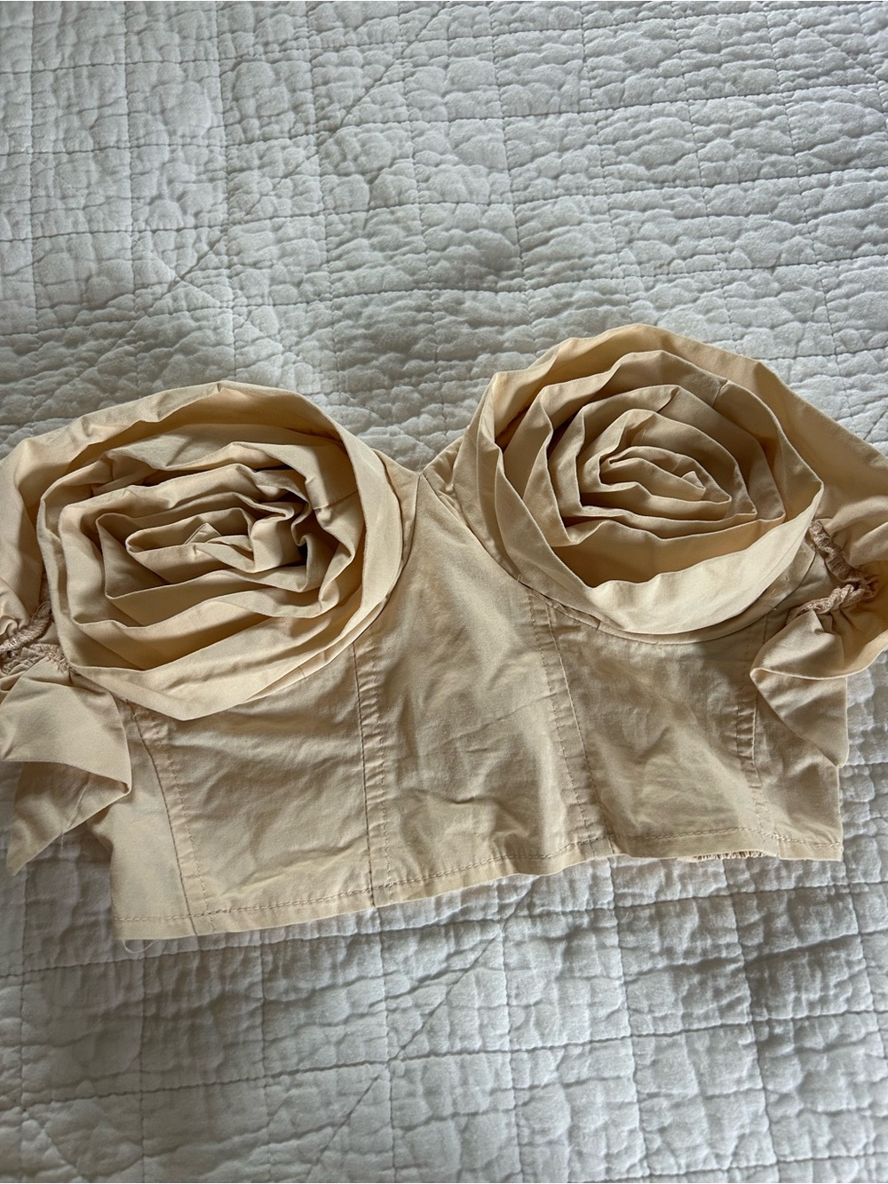 Zara Beige Rose Bustier Crop Top